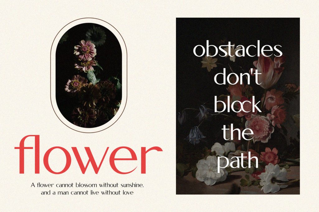 Elegant Sans Serif Typeface - Hoodger