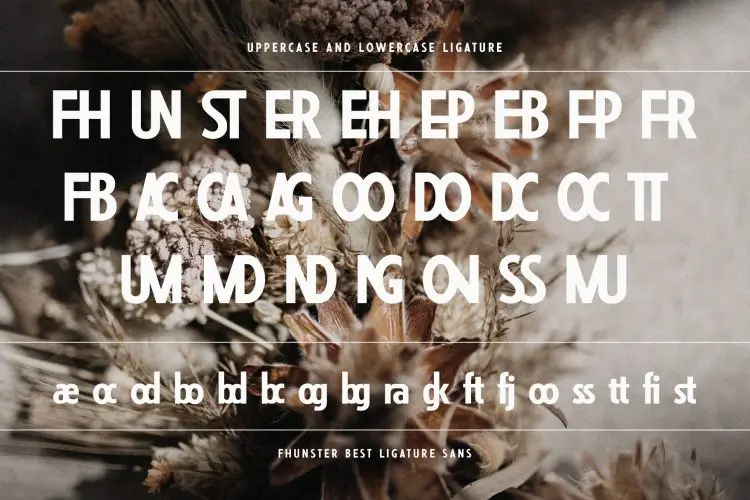 Fhunster Best Ligature Sans