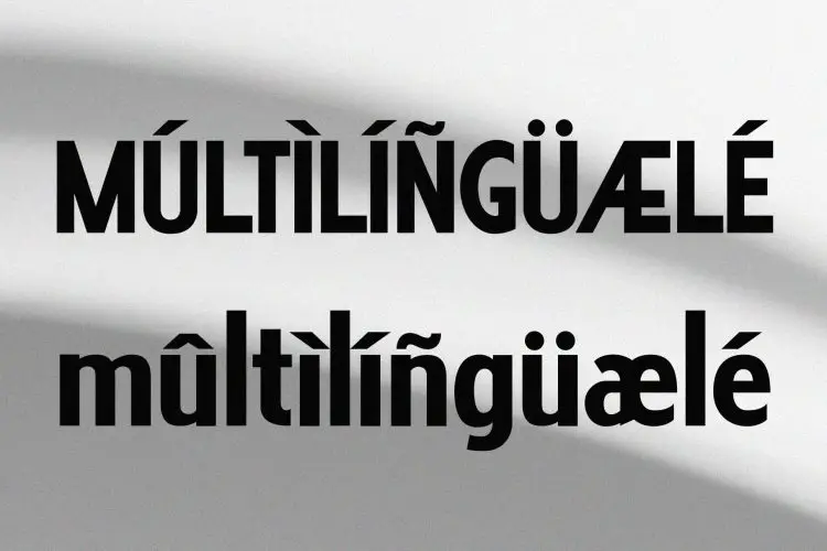 Fhunster Best Ligature Sans