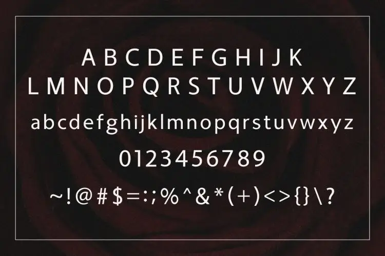 Fougie Modern Sans Serif Font