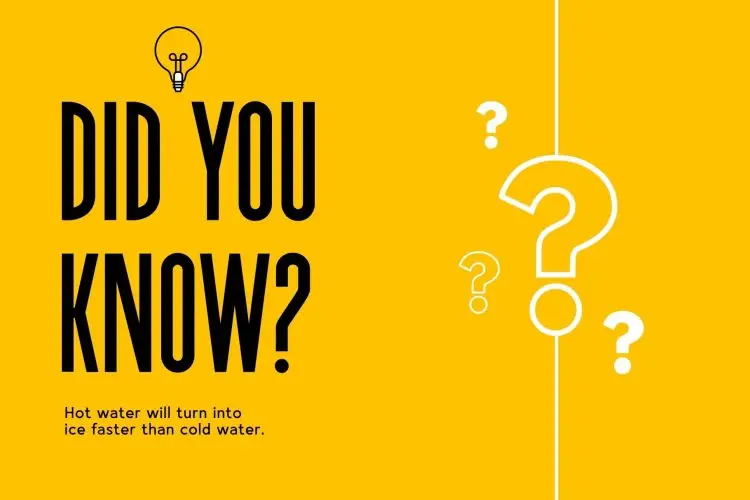 Jochepine Modern Condensed Sans