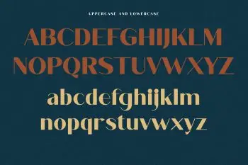 Fhunca Vinjhae Ligature Sans Serif Font