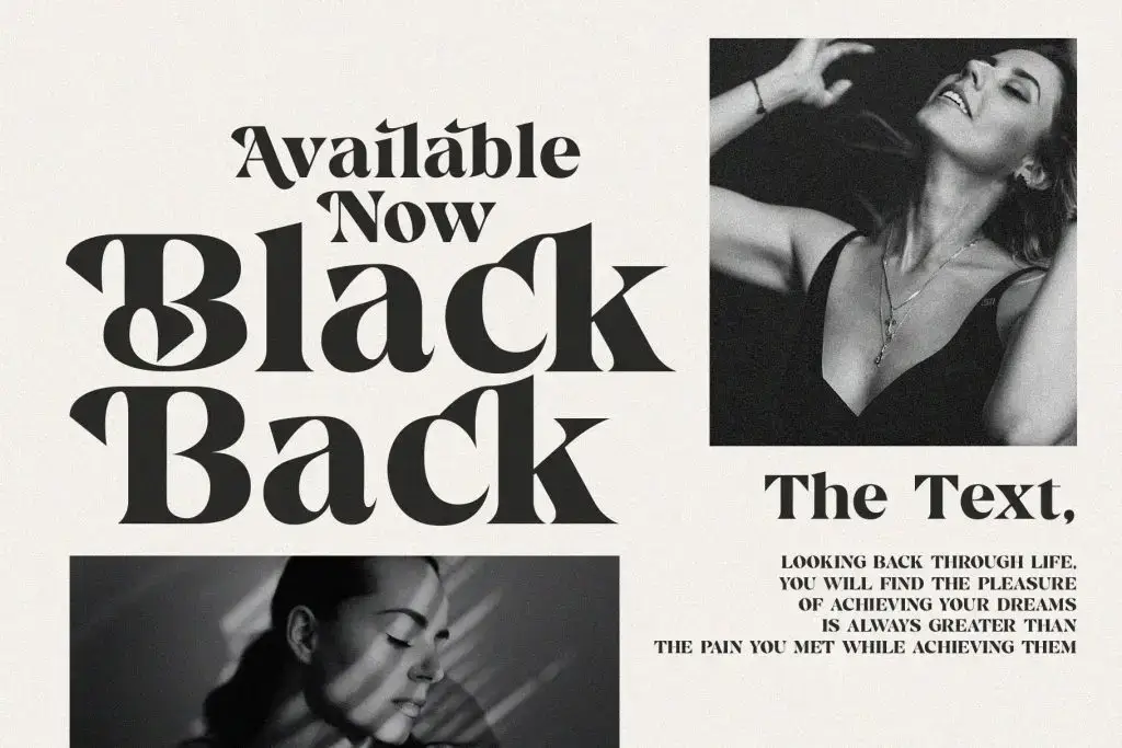 Bergavick Elegant Ligature Serif Font