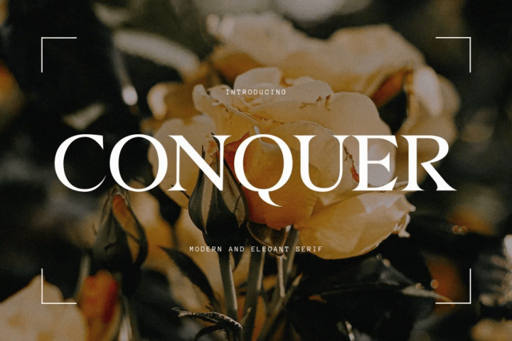 psychology of fonts in florist branding with serif font