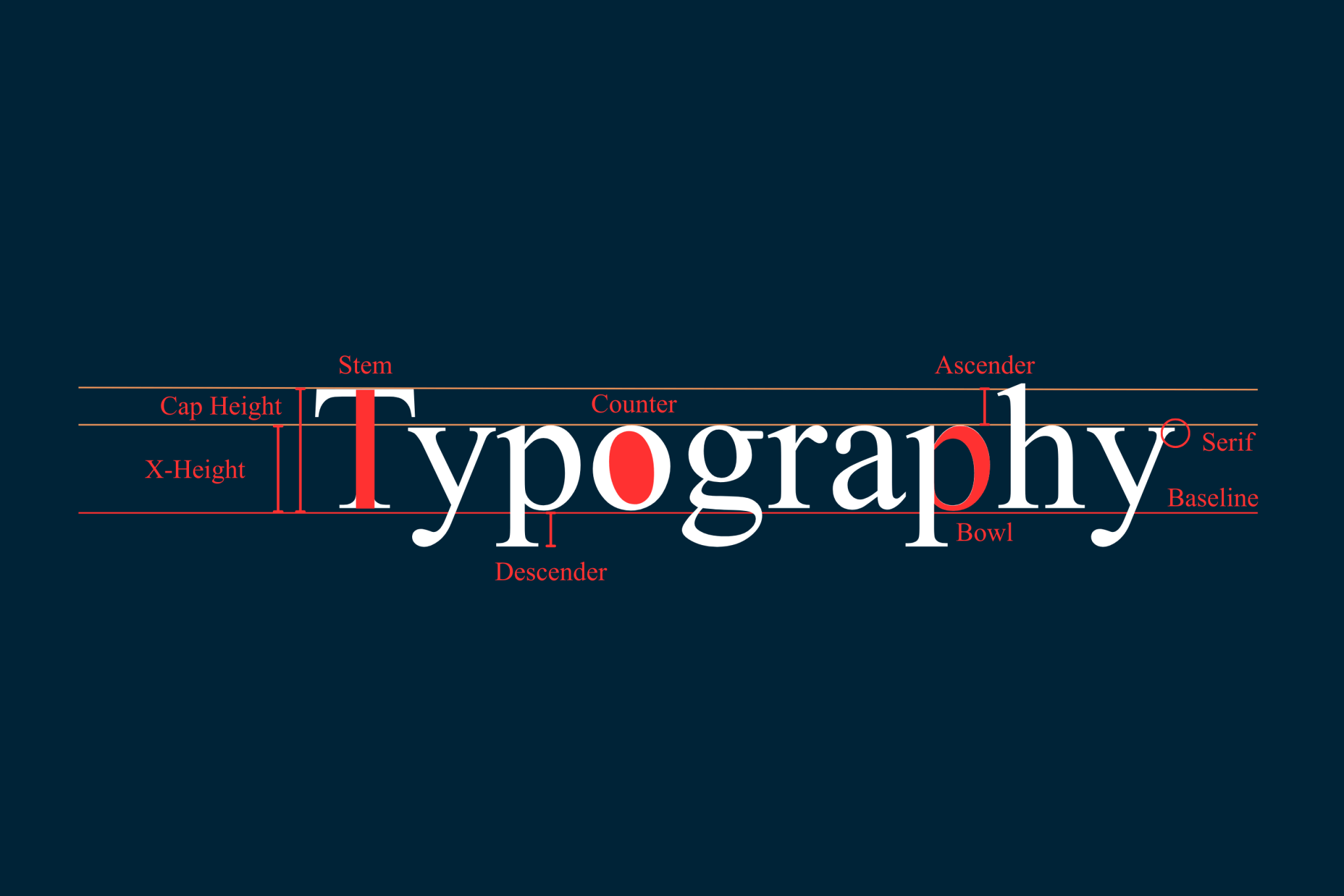 The Anatomy of Typography: A Beginner-Friendly Guide - Font Kingdom